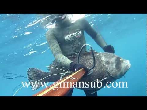 Grouper Spearfishing