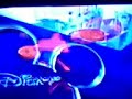 Toon Disney Promos (2)