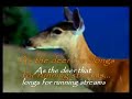 my soul long for you (with lyrics)