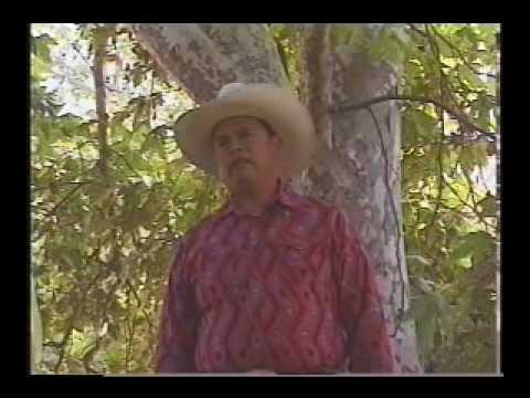 Juaneno Band of Mission Indians