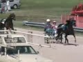 Celebrity for Charity harness race, Walworth County Fair