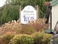 Lucas Harvest
