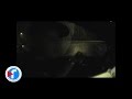 Kendo Kaponi Habla De Don Omar Y Baby Rasta Y Gringo