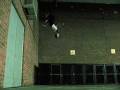 cane armitage-endeavour