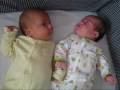 videos de Bebes mellizos 1ere discusion bebe