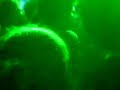Bloodhound Gang - Screwing You On The Bea... Live in Newport Bloodhound Gang - Screwing You On The Bea... Live in Newport