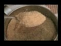 Stevia Stevia