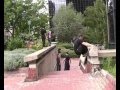parkourday du 1er juillet