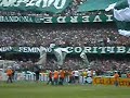 Camisão da Império 2