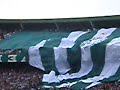 Camisão da Império 2