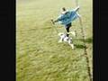 discover the best of: chillout downtempo music