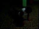 CALIX