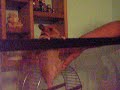 Nutter-Butter the Adorably Smart Hamster!