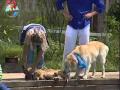 A Fazenda: Conheça Max Jr., filho de Max!