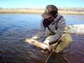 videos de Wyoming Fly fishing with G Love and Stonybrook Fly Fishing Consultants
