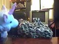 Random Puppet Outtakes 1