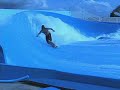 Flowboarding-Bruticus Grand Cayman, Jonathan Root Flowboarding-Bruticus Grand Cayman, Jonathan Root