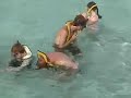 Stingray City Grand Cayman Island