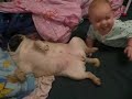 Lola, wake up!