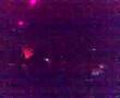 DaviDGueTTa AmbasadaGavioli