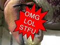 your face will get fucked