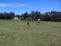 5 year old baseball star 1