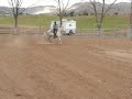 paso fino la clara