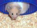 My Pets!!!=) My Pets!!!=)