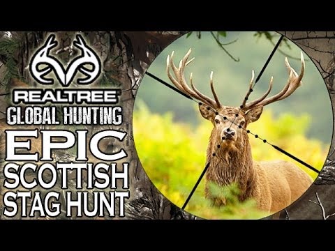Hunting Red Stags in Scotland