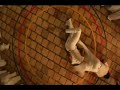 mestre bimba. a capoeira iluminada (music: mestre acordeon - brincadeira tem hora)

quilombola mandigueiro jogador de capoeira
mestre bimba era o rei, da pituba a ribeira
quilombola mandigueiro jogador de capoeira
jogava duro e manhoso, nossa arte verdadeira

brincadeira tem hora
joga com garra e mandinga
esse jogo � tinhoso n�o � angola
� capoeira de bimba

hoje em dia me espanto
com tanto papo furado
se dizer que capoeira
� somente brincadeira
esquecendo a sua historia
o seu passado de gl�ria
como luta verdadeira

capoeira � uma arte
do africano de valor
que usava a cabe�ada
p'ra se livrar do feitor

oi, sim, sim, sim. oi n�o, n�o, n�o
oi, sim, sim, sim. oi n�o, n�o, n�o