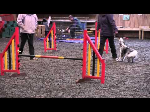 Crate games - first time at Little Meadows