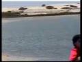 Clip Sávio Leão - Passado vivo.wmv
