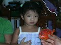 Philippines / A Wedding Celebration  /  Photo Slideshow