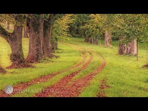 Adyashanti Audio: Teachings Should Continue to Live Within You