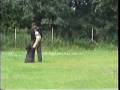 Bouvier des Flandres Monchi de Dasilva IPO 2