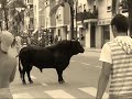 TOROS PAIPORTA LA VAQUI SEP-08