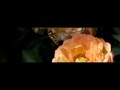 Testvideo