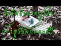 พนักงานเกษียณ (สกย.จ.นราธิวาส 2554) - YouTube