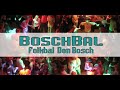 boschbal folkbal den bosch