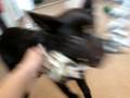 videos de Playing Kelpie