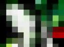 cyanide-freestyle.html