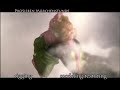 Character Rigging Showreel, Niels Roscher, March 2007