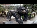 BALLADE AU ZOO D'ANVERS partie 3