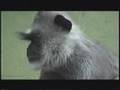 BALLADE AU ZOO D'ANVERS partie 3