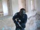 Paintball Mimo?