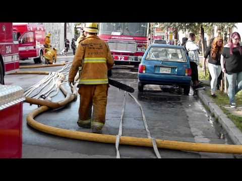 lincon
