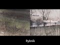 Rybník - Neckář Václav