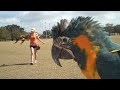 See Video