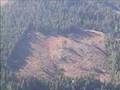 Clearcutting Kills Forests