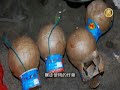 Китай: крестьянская семья борется за свою землю